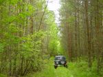 DSC04436.JPG