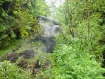DSC05007.JPG
