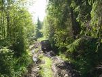 DSC05454.JPG