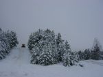 DSC07026.JPG