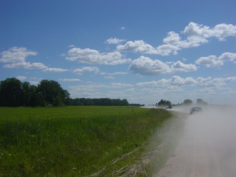 DSC08311.JPG